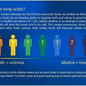 Máy Lọc Nước Enagic Leveluk Kangen 8
